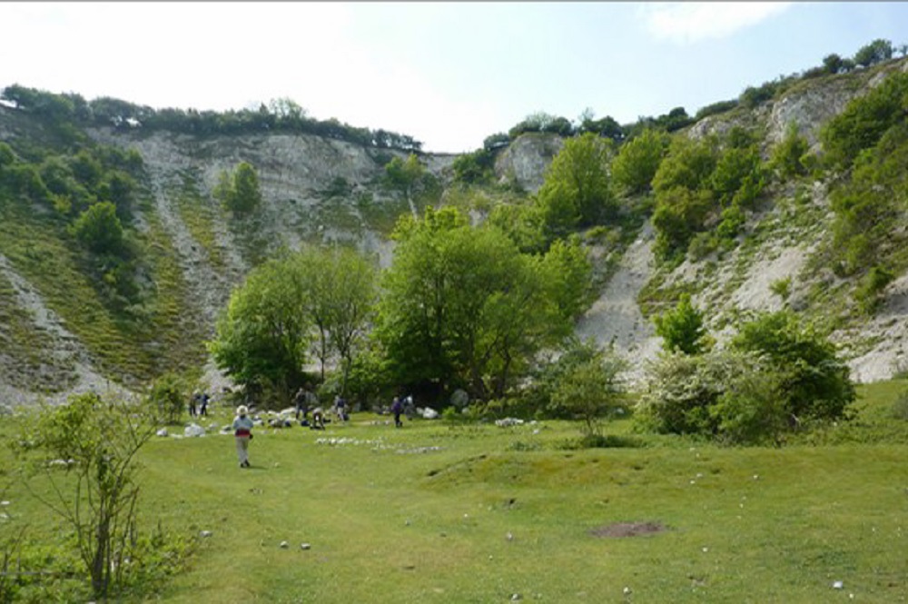 Lewes Downs