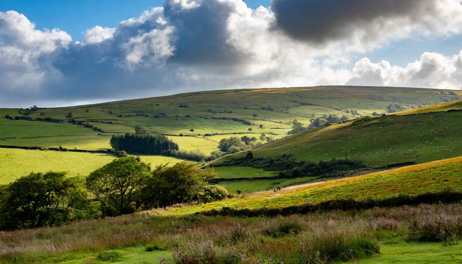 Decoding Biodiversity Net Gain Middlemarch